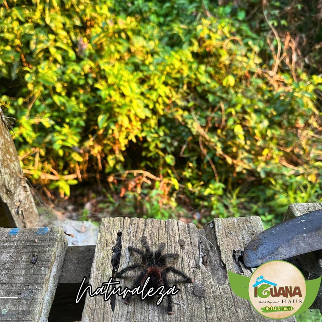 Iguana Haus Iquitos Apartman Kültér fotó