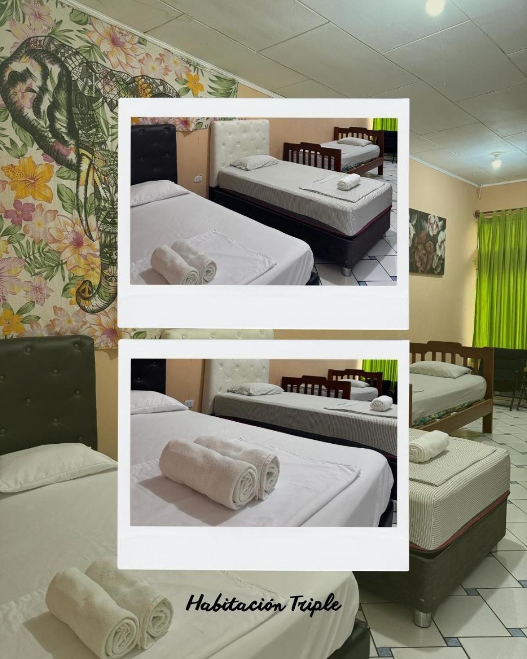 Iguana Haus Iquitos Apartman Kültér fotó